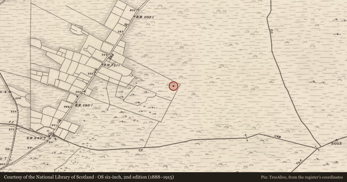 Ordnance Survey six-inch map, 2nd edition (1888–1915) covering the location of Hut site, Knockaneyouloo, County Kerry, with a pin at the register's coordinates