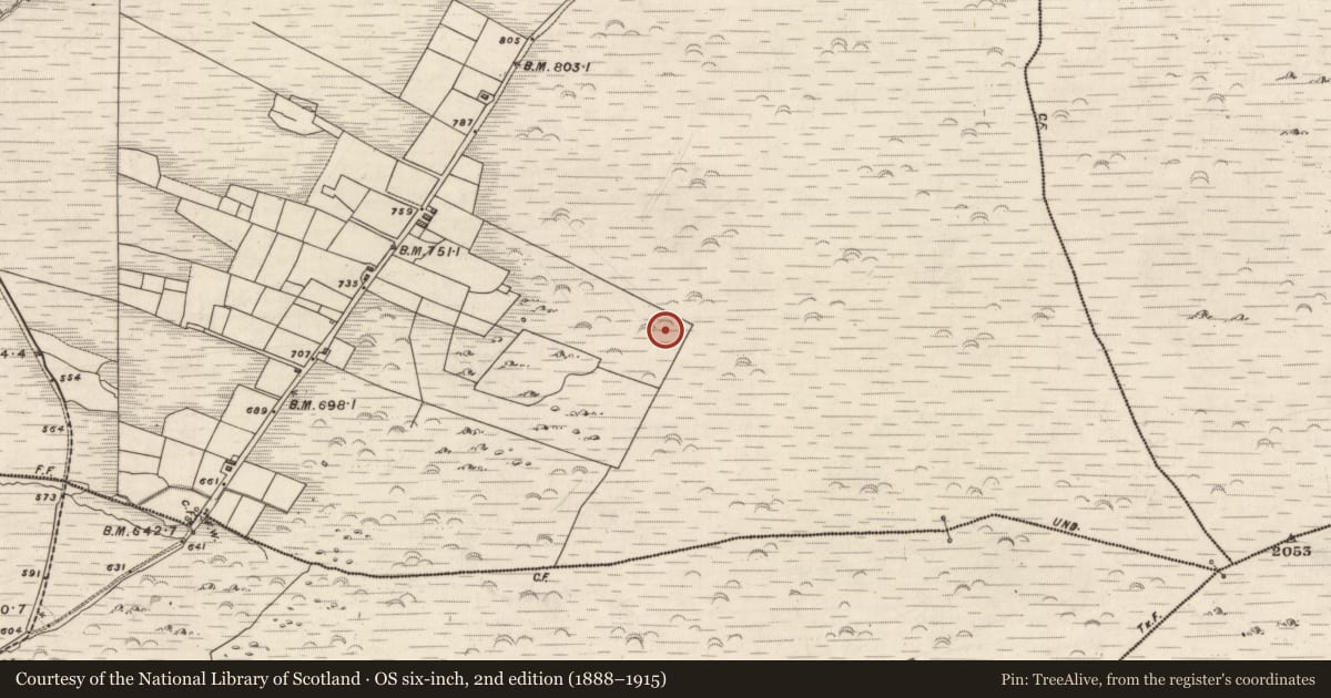 Ordnance Survey six-inch map, 2nd edition (1888–1915) covering the location of Hut site, Knockaneyouloo, County Kerry, with a pin at the register's coordinates