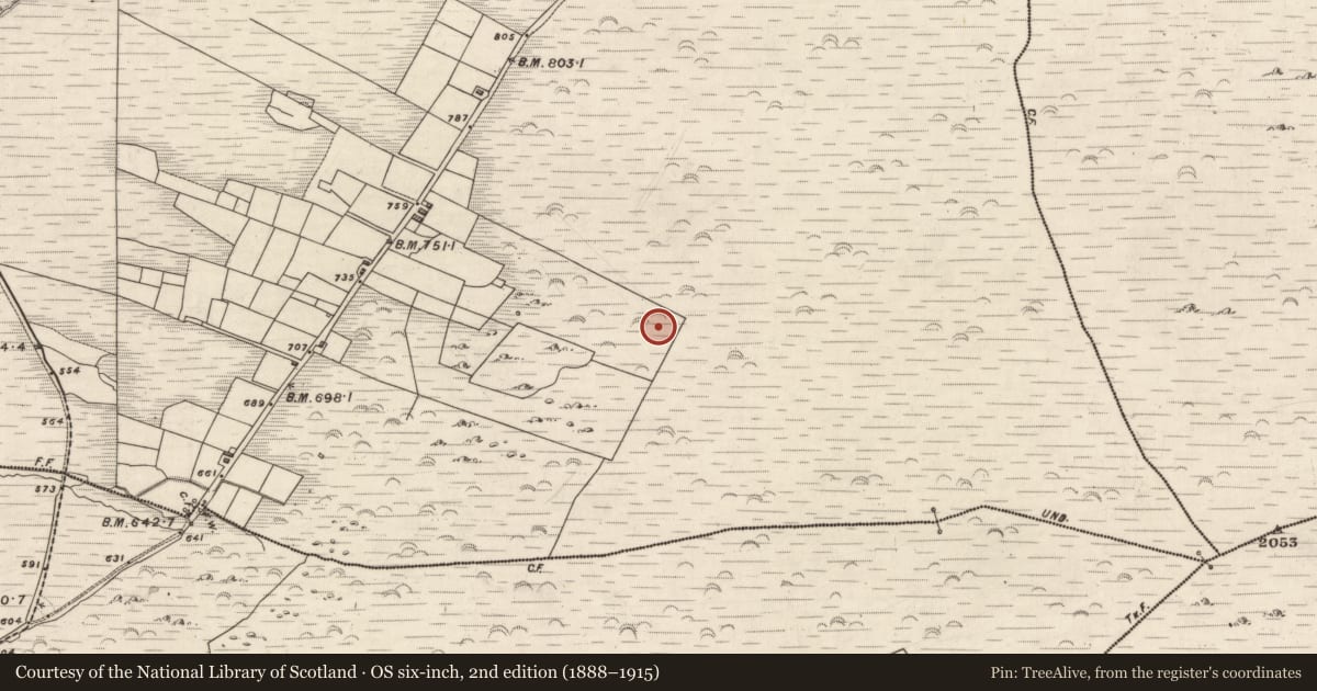 Ordnance Survey six-inch map, 2nd edition (1888–1915) covering the location of Hut site, Knockaneyouloo, County Kerry, with a pin at the register's coordinates