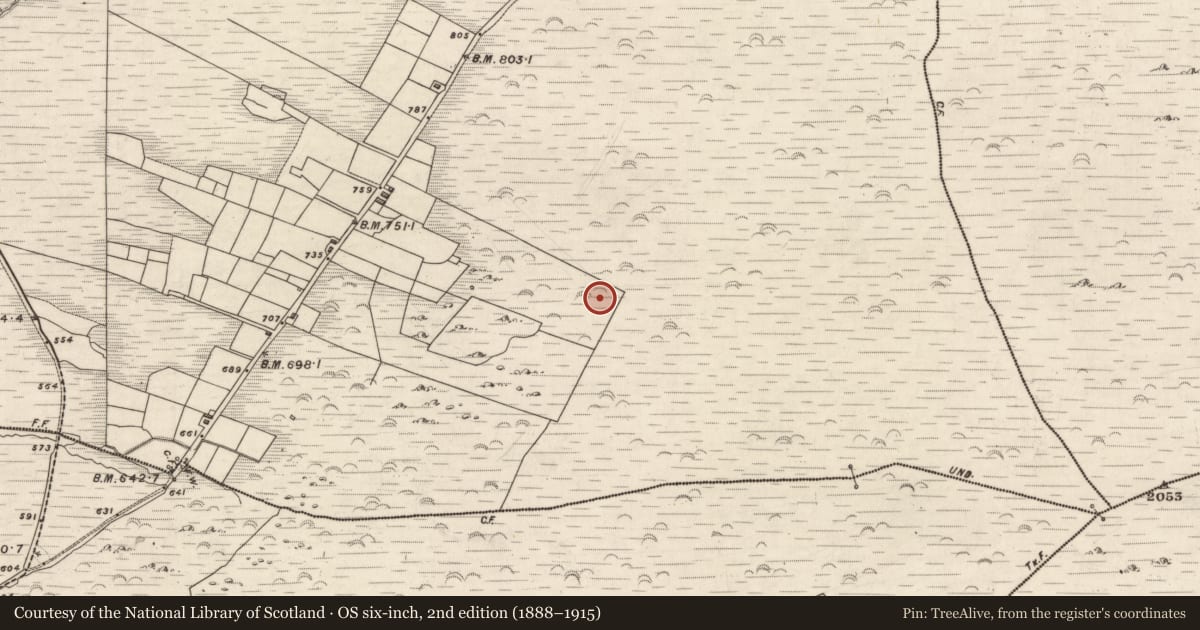 Ordnance Survey six-inch map, 2nd edition (1888–1915) covering the location of Hut site, Knockaneyouloo, County Kerry, with a pin at the register's coordinates