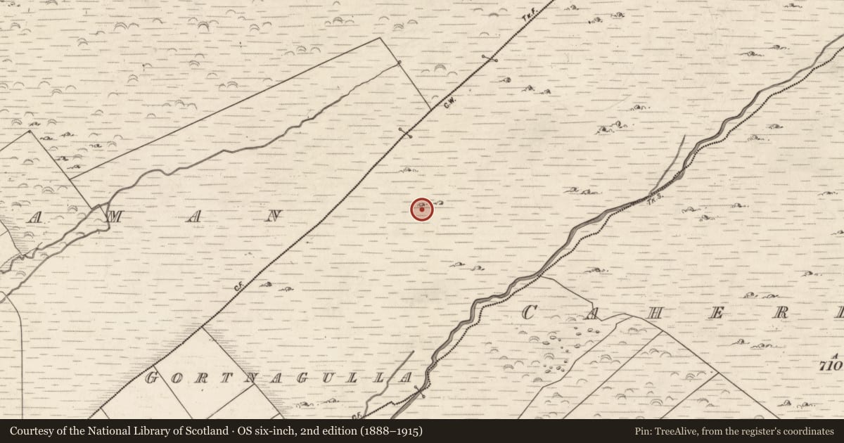 Ordnance Survey six-inch map, 2nd edition (1888–1915) covering the location of Rock art, Gortnagulla, County Kerry, with a pin at the register's coordinates