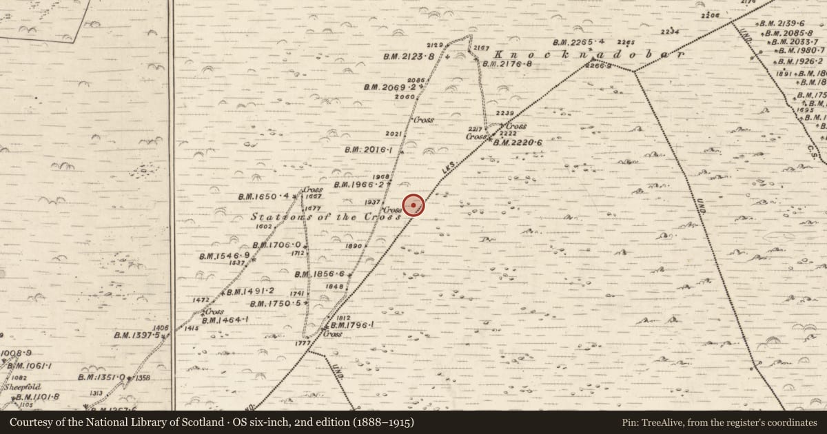 Ordnance Survey six-inch map, 2nd edition (1888–1915) covering the location of Hut site, Killurly Commons, County Kerry, with a pin at the register's coordinates