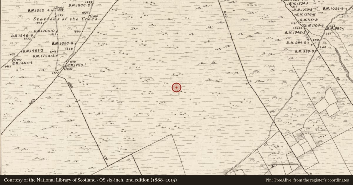 Ordnance Survey six-inch map, 2nd edition (1888–1915) covering the location of Hut site, Dooneen, County Kerry, with a pin at the register's coordinates