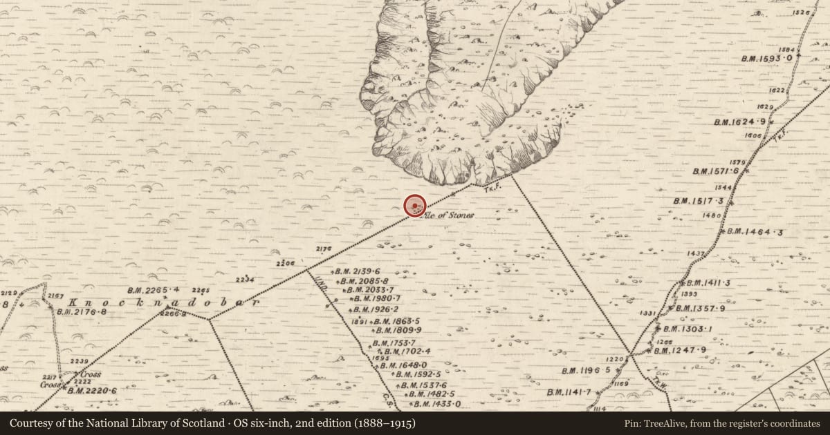 Ordnance Survey six-inch map, 2nd edition (1888–1915) covering the location of Cairn - unclassified, Foilduff, Killurly Commons, County Kerry, with a pin at the register's coordinates