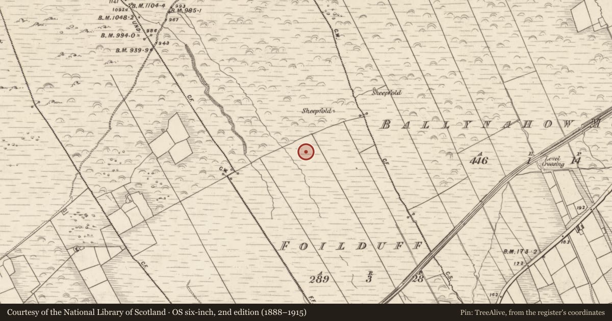 Ordnance Survey six-inch map, 2nd edition (1888–1915) covering the location of Hut site, Foilduff, County Kerry, with a pin at the register's coordinates