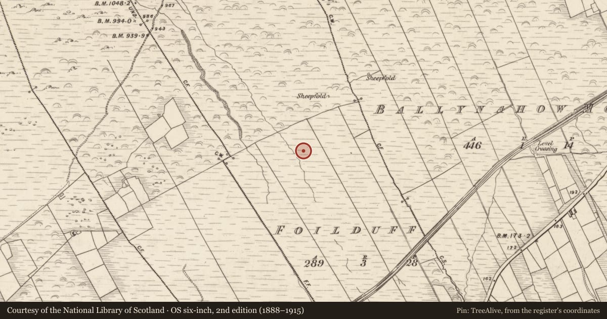 Ordnance Survey six-inch map, 2nd edition (1888–1915) covering the location of Hut site, Foilduff, County Kerry, with a pin at the register's coordinates