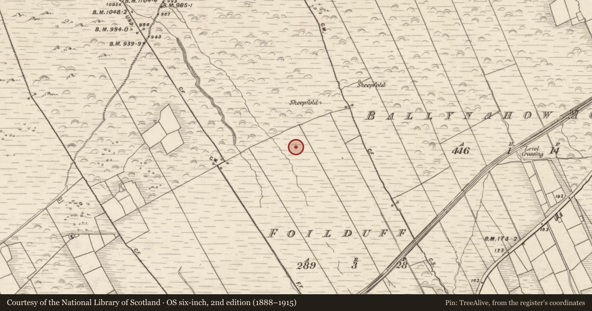 Ordnance Survey six-inch map, 2nd edition (1888–1915) covering the location of Field boundary, Foilduff, County Kerry, with a pin at the register's coordinates