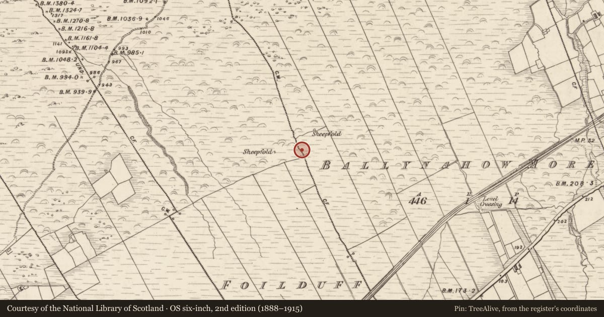 Ordnance Survey six-inch map, 2nd edition (1888–1915) covering the location of Megalithic tomb - wedge tomb, Ballynahow More, County Kerry, with a pin at the register's coordinates