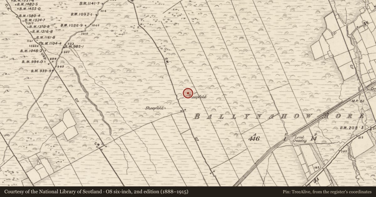 Ordnance Survey six-inch map, 2nd edition (1888–1915) covering the location of Hut site, Ballynahow More, County Kerry, with a pin at the register's coordinates