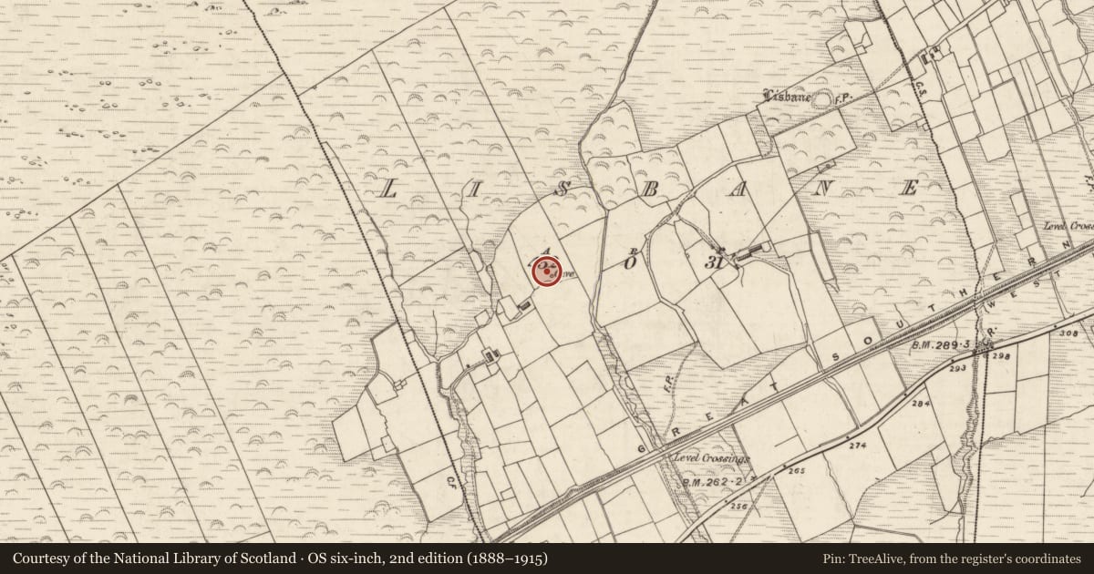Ordnance Survey six-inch map, 2nd edition (1888–1915) covering the location of Souterrain, Lisbane, County Kerry, with a pin at the register's coordinates