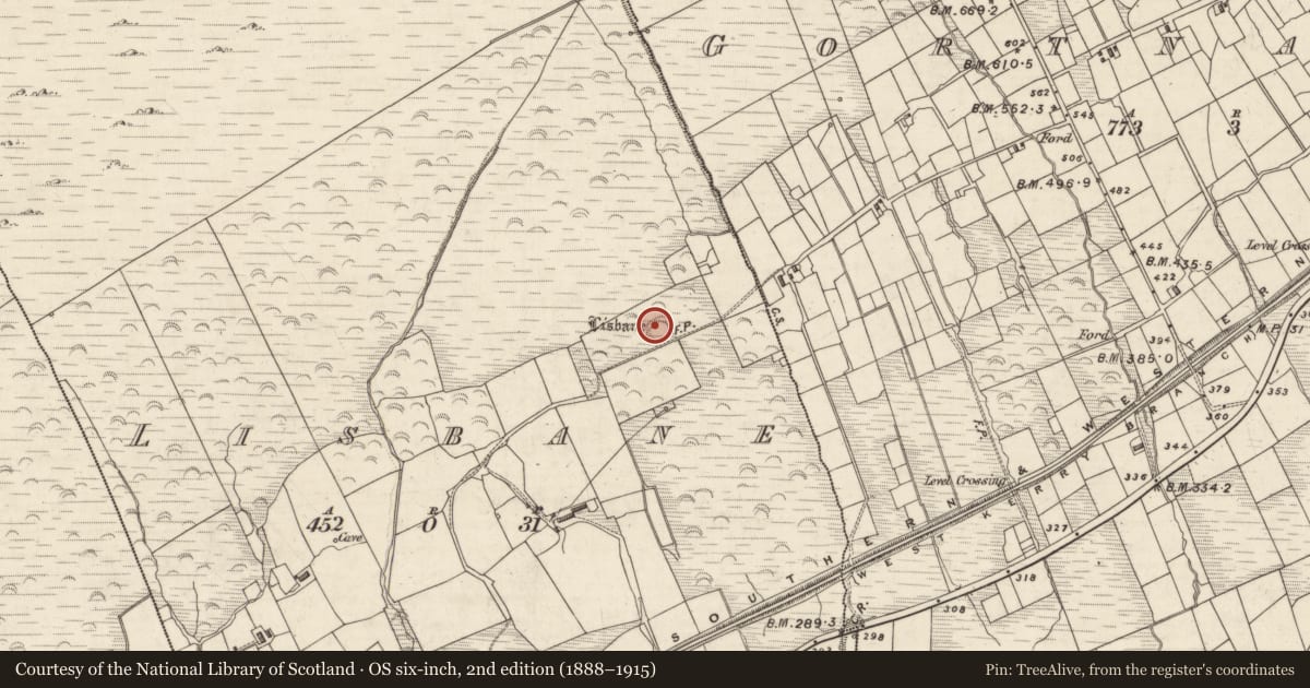 Ordnance Survey six-inch map, 2nd edition (1888–1915) covering the location of Ringfort - rath, Lisbane, County Kerry, with a pin at the register's coordinates