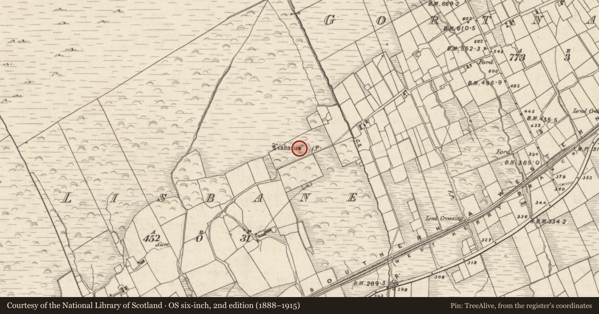 Ordnance Survey six-inch map, 2nd edition (1888–1915) covering the location of Hut site, Lisbane, County Kerry, with a pin at the register's coordinates