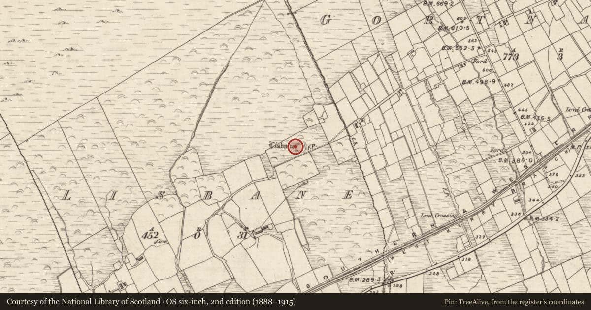 Ordnance Survey six-inch map, 2nd edition (1888–1915) covering the location of Hut site, Lisbane, County Kerry, with a pin at the register's coordinates