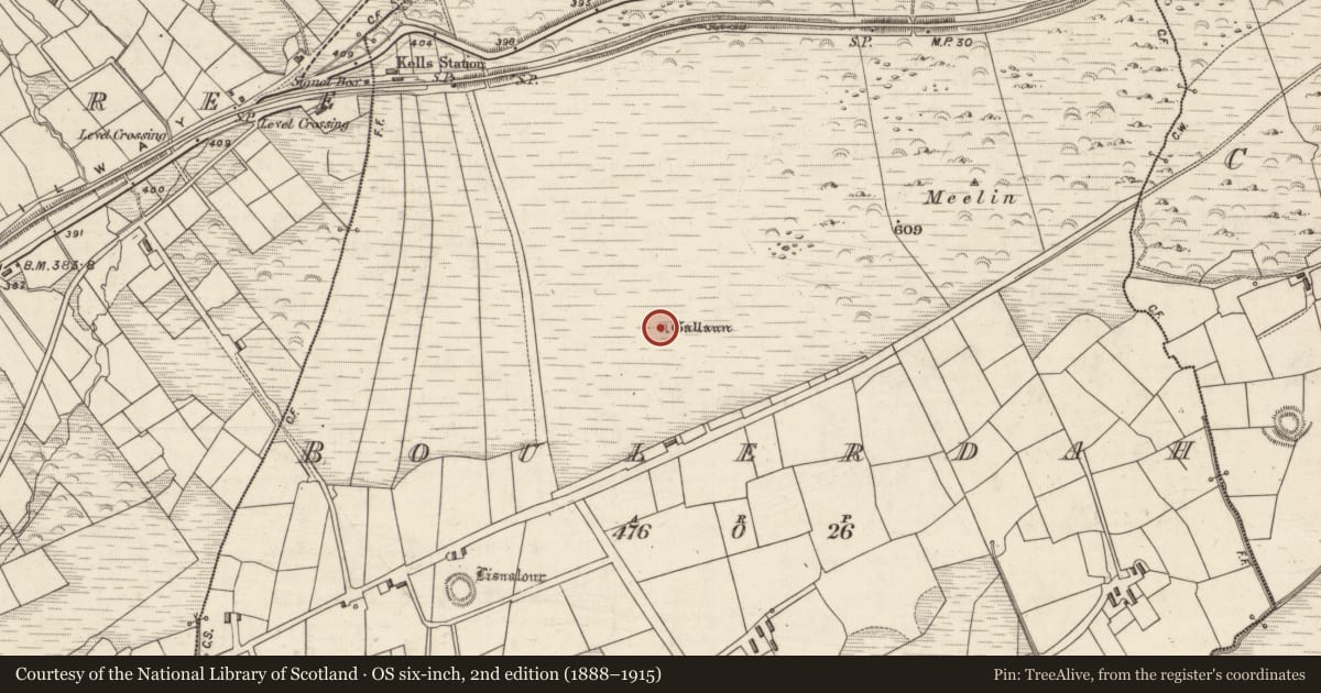Ordnance Survey six-inch map, 2nd edition (1888–1915) covering the location of Standing stone, Boulerdah, County Kerry, with a pin at the register's coordinates