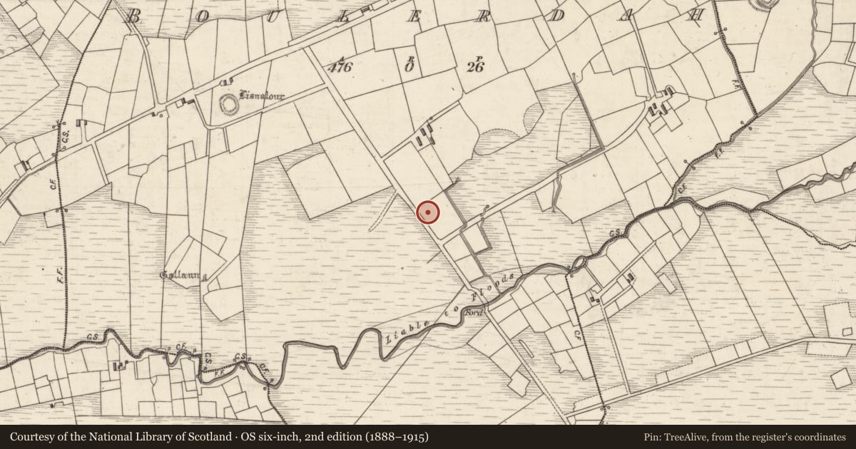 Ordnance Survey six-inch map, 2nd edition (1888–1915) covering the location of Fulacht fia, Boulerdah, County Kerry, with a pin at the register's coordinates