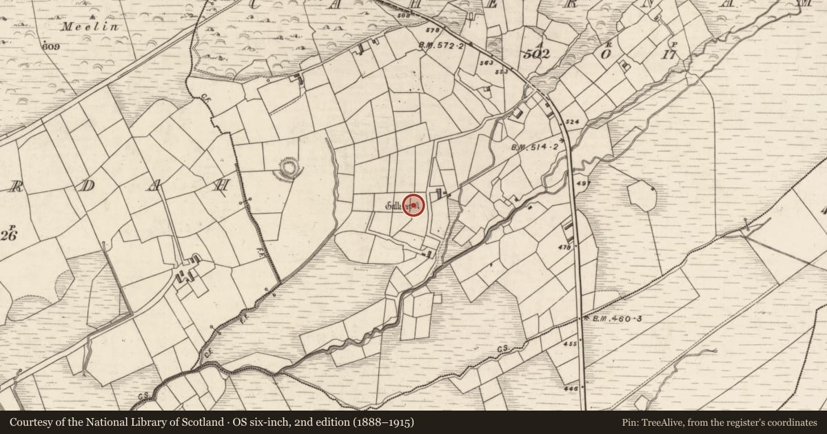Ordnance Survey six-inch map, 2nd edition (1888–1915) covering the location of Boulder-burial, Cahernaman, County Kerry, with a pin at the register's coordinates