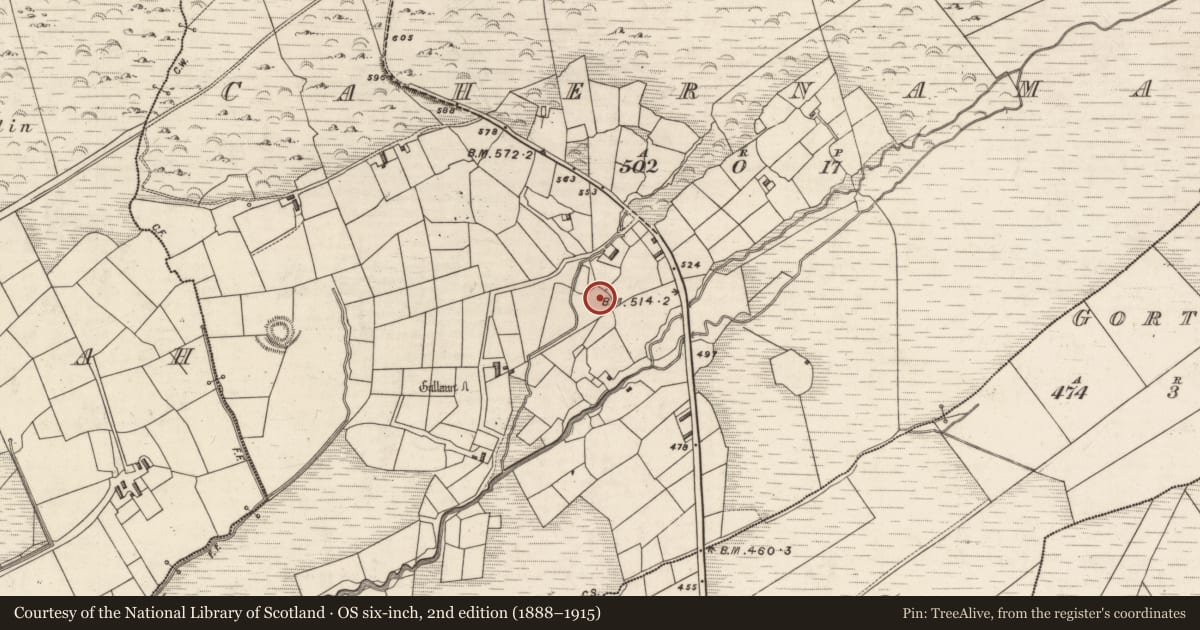 Ordnance Survey six-inch map, 2nd edition (1888–1915) covering the location of Ringfort - cashel, Cahernaman, County Kerry, with a pin at the register's coordinates