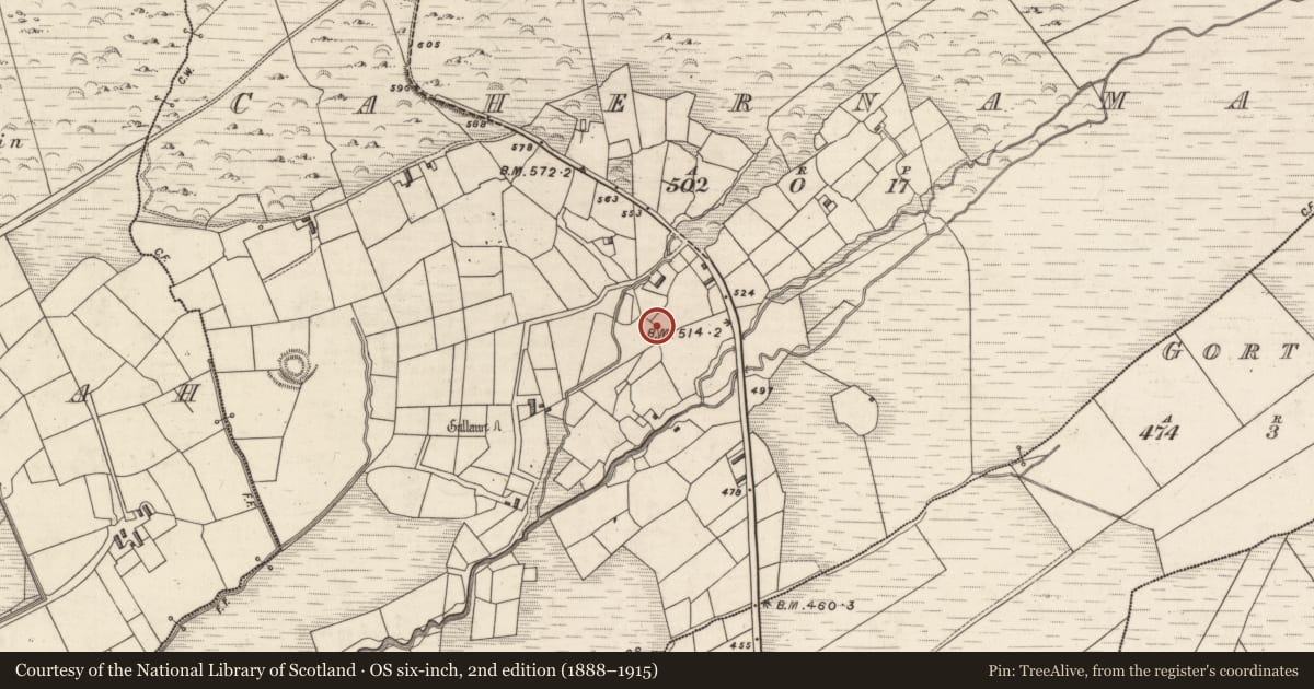 Ordnance Survey six-inch map, 2nd edition (1888–1915) covering the location of Souterrain, Cahernaman, County Kerry, with a pin at the register's coordinates