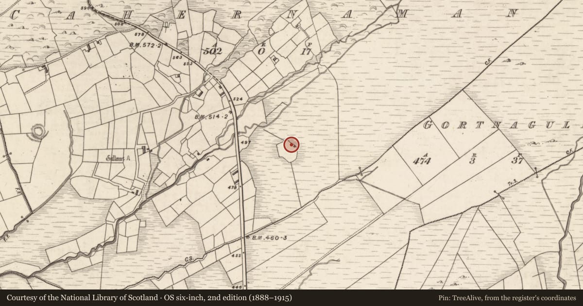 Ordnance Survey six-inch map, 2nd edition (1888–1915) covering the location of Hut site, Cahernaman, County Kerry, with a pin at the register's coordinates