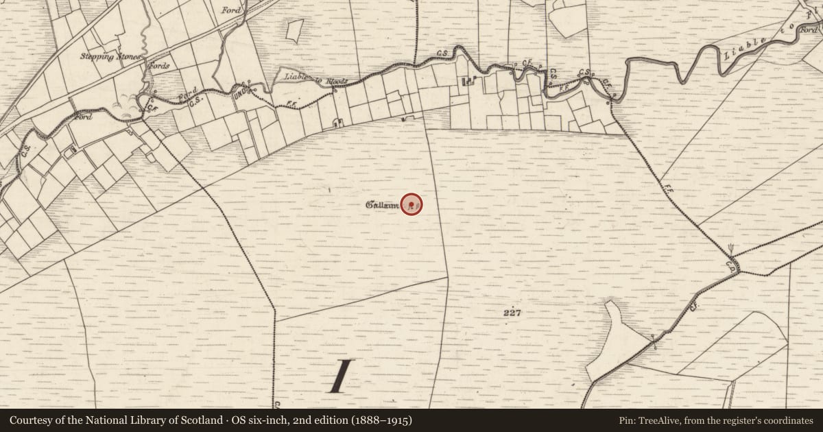 Ordnance Survey six-inch map, 2nd edition (1888–1915) covering the location of Cist, Garrydine, County Kerry, with a pin at the register's coordinates