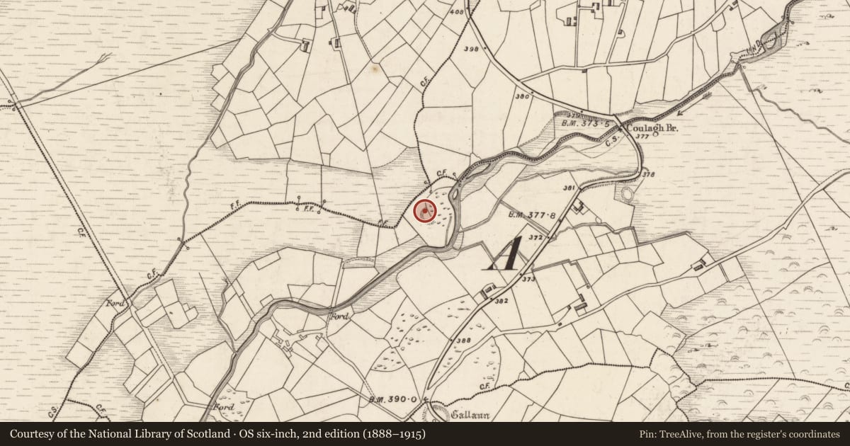 Ordnance Survey six-inch map, 2nd edition (1888–1915) covering the location of Ringfort - rath, Coulagh, County Kerry, with a pin at the register's coordinates