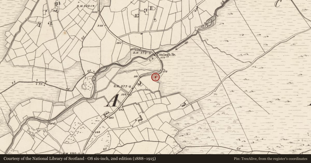 Ordnance Survey six-inch map, 2nd edition (1888–1915) covering the location of Ringfort - rath, Coulagh, County Kerry, with a pin at the register's coordinates