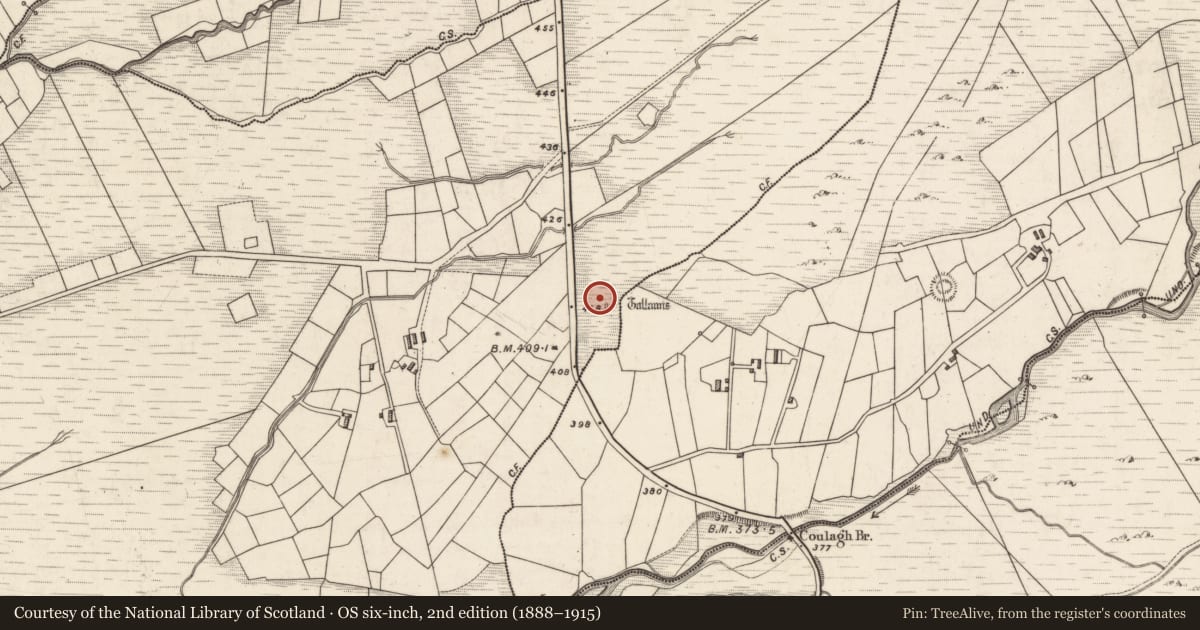 Ordnance Survey six-inch map, 2nd edition (1888–1915) covering the location of Stone row, Gortnagulla, County Kerry, with a pin at the register's coordinates