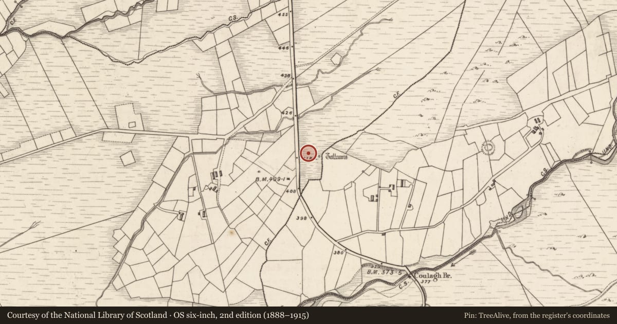 Ordnance Survey six-inch map, 2nd edition (1888–1915) covering the location of Enclosure, Gortnagulla, County Kerry, with a pin at the register's coordinates