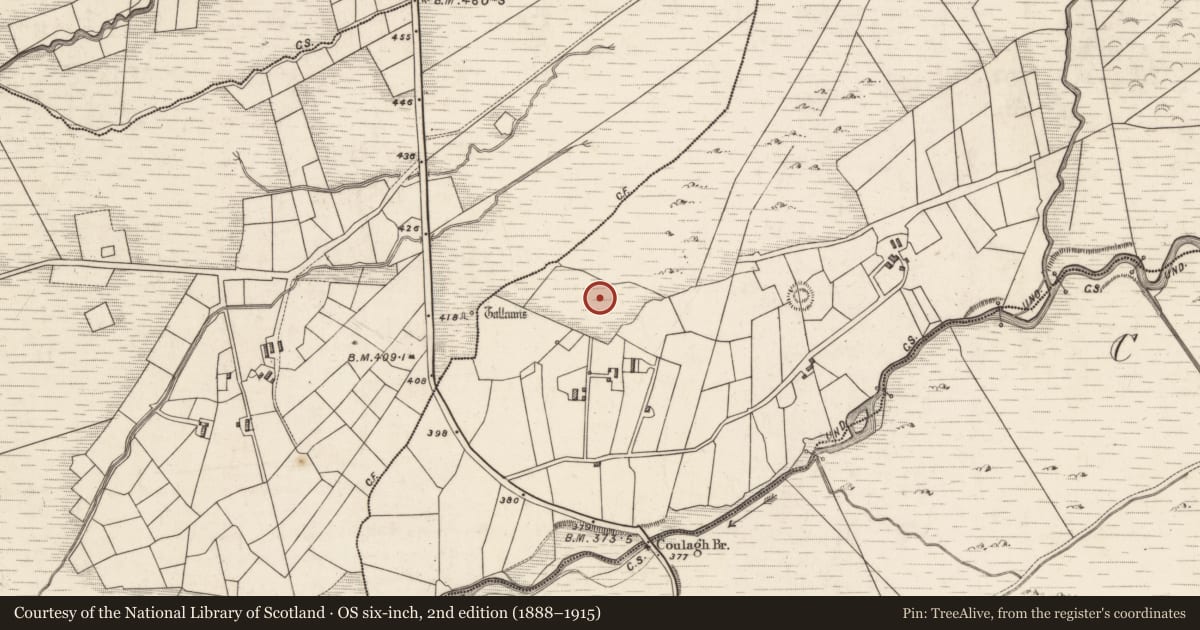 Ordnance Survey six-inch map, 2nd edition (1888–1915) covering the location of Rock art, Caherlehillan, County Kerry, with a pin at the register's coordinates