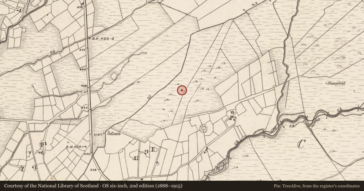 Ordnance Survey six-inch map, 2nd edition (1888–1915) covering the location of Hut site, Caherlehillan, County Kerry, with a pin at the register's coordinates