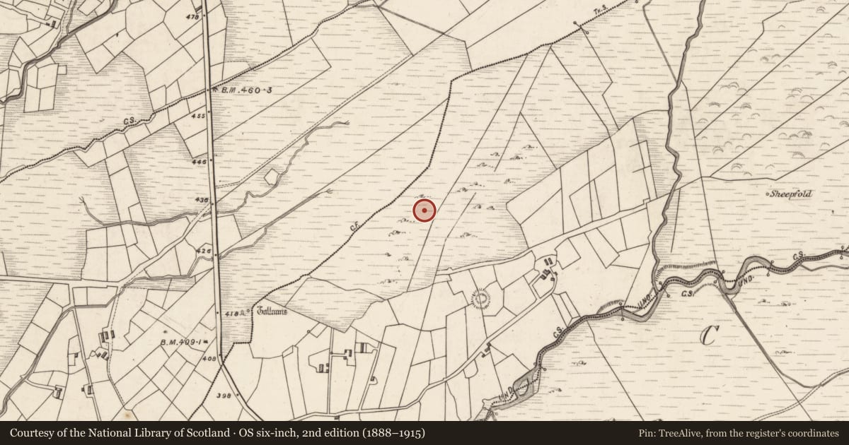 Ordnance Survey six-inch map, 2nd edition (1888–1915) covering the location of Hut site, Caherlehillan, County Kerry, with a pin at the register's coordinates