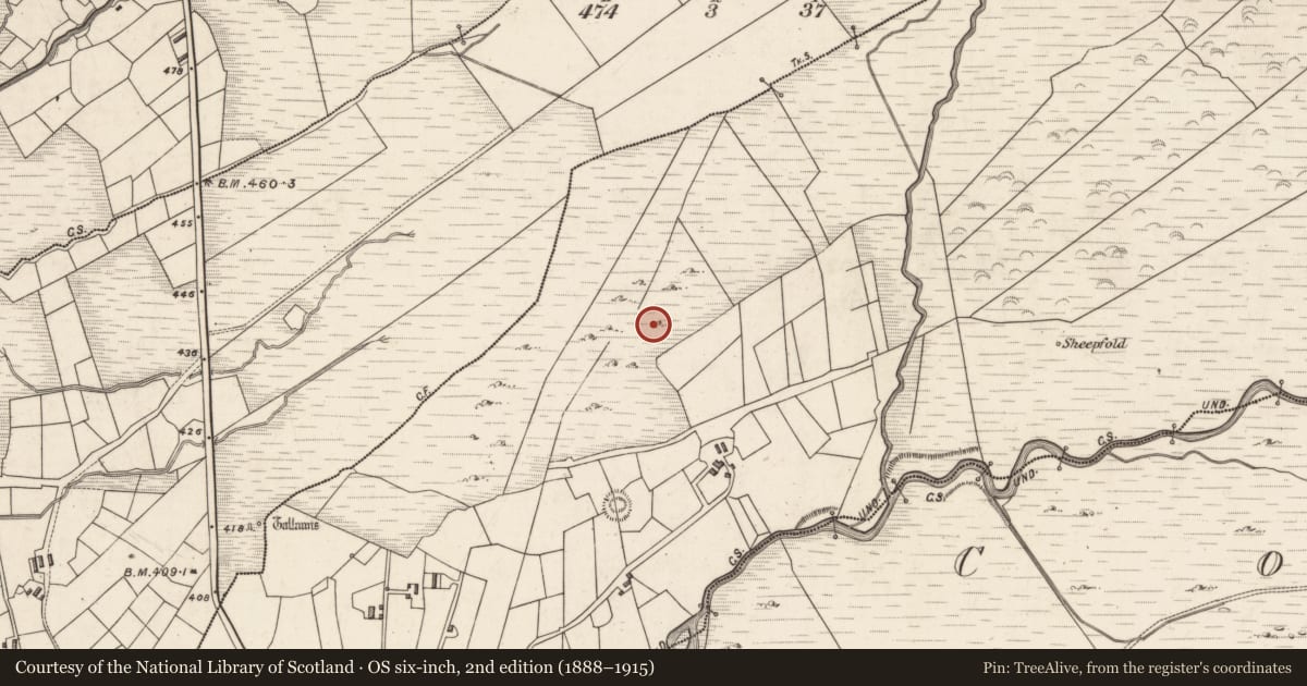 Ordnance Survey six-inch map, 2nd edition (1888–1915) covering the location of Hut site, Caherlehillan, County Kerry, with a pin at the register's coordinates