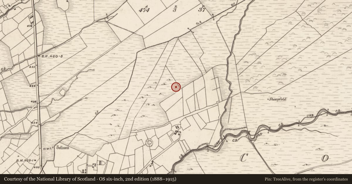 Ordnance Survey six-inch map, 2nd edition (1888–1915) covering the location of Megalithic tomb - wedge tomb, Caherlehillan, County Kerry, with a pin at the register's coordinates