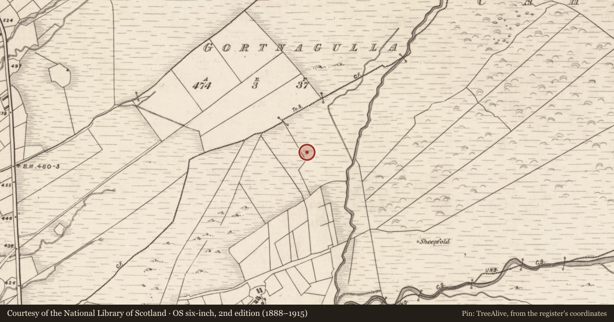 Ordnance Survey six-inch map, 2nd edition (1888–1915) covering the location of Megalithic tomb - wedge tomb, Caherlehillan, County Kerry, with a pin at the register's coordinates