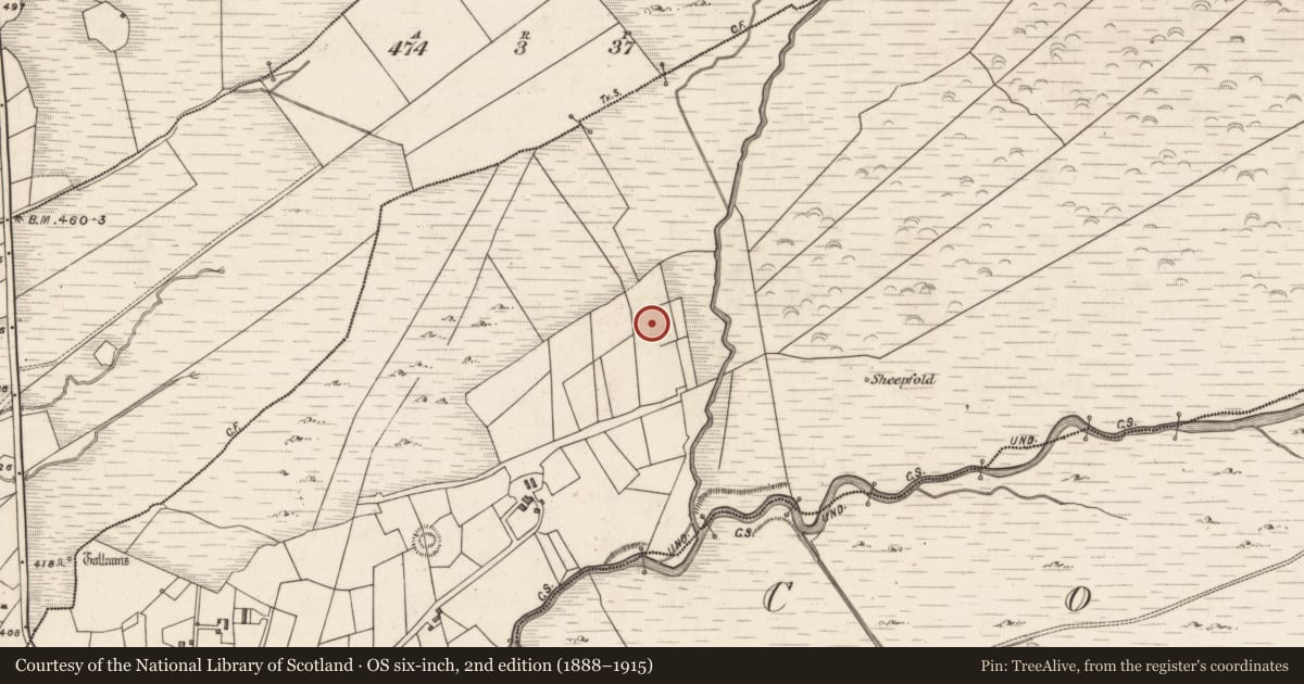 Ordnance Survey six-inch map, 2nd edition (1888–1915) covering the location of Hut site, Caherlehillan, County Kerry, with a pin at the register's coordinates