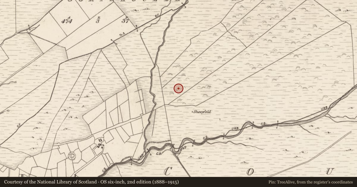 Ordnance Survey six-inch map, 2nd edition (1888–1915) covering the location of Hut site, Caherlehillan, County Kerry, with a pin at the register's coordinates