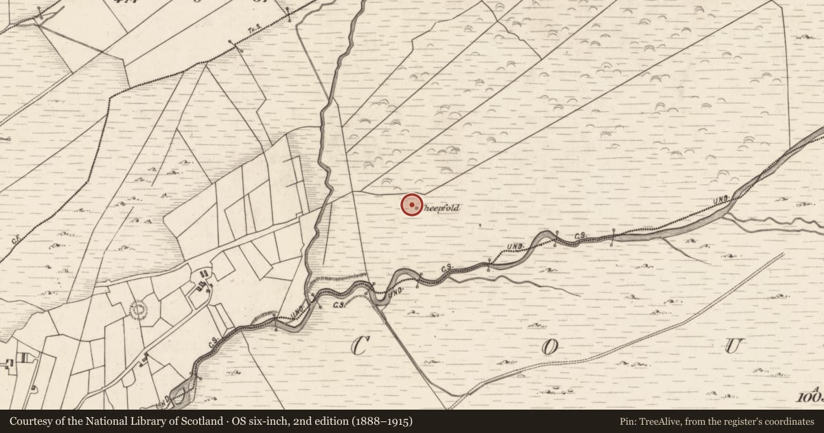 Ordnance Survey six-inch map, 2nd edition (1888–1915) covering the location of Hut site, Caherlehillan, County Kerry, with a pin at the register's coordinates