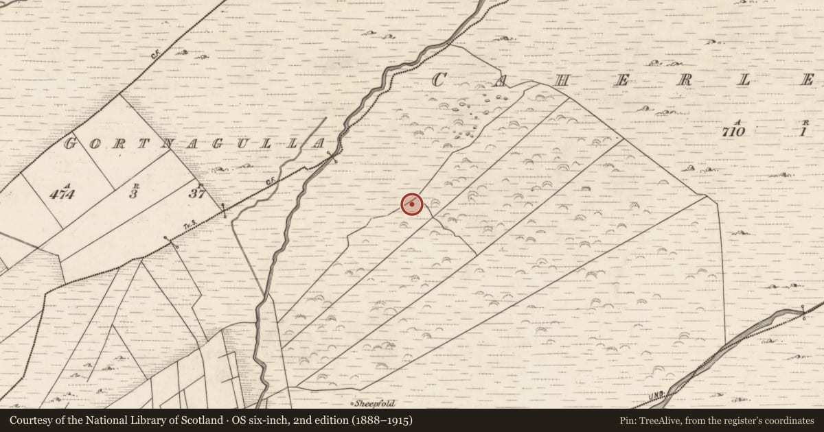 Ordnance Survey six-inch map, 2nd edition (1888–1915) covering the location of Hut site, Caherlehillan, County Kerry, with a pin at the register's coordinates