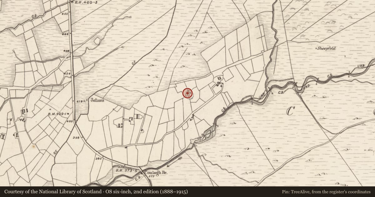 Ordnance Survey six-inch map, 2nd edition (1888–1915) covering the location of Ringfort - cashel, Caherlehillan, County Kerry, with a pin at the register's coordinates