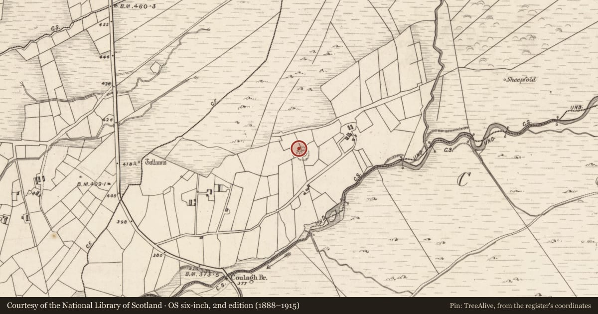 Ordnance Survey six-inch map, 2nd edition (1888–1915) covering the location of Hut site, Caherlehillan, County Kerry, with a pin at the register's coordinates