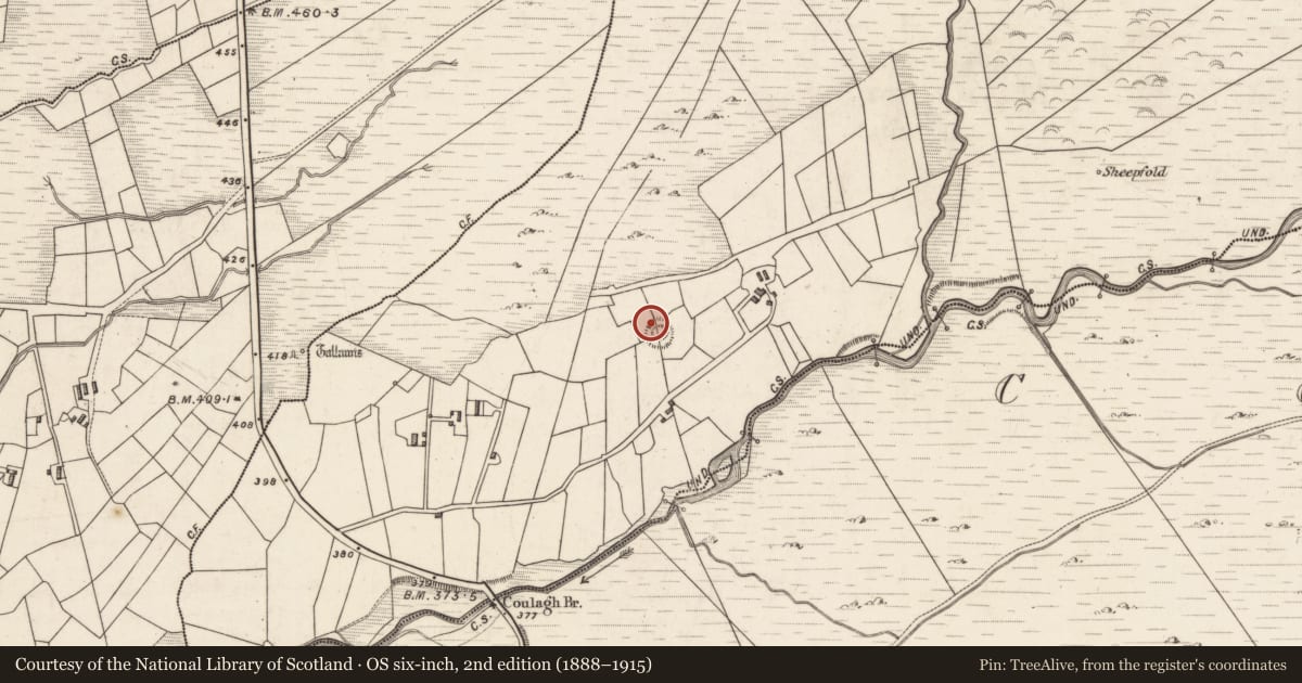 Ordnance Survey six-inch map, 2nd edition (1888–1915) covering the location of Hut site, Caherlehillan, County Kerry, with a pin at the register's coordinates