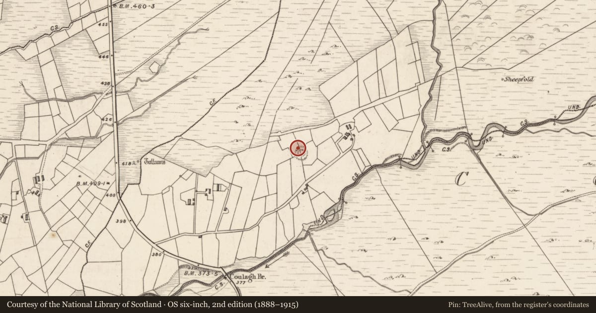 Ordnance Survey six-inch map, 2nd edition (1888–1915) covering the location of Hut site, Caherlehillan, County Kerry, with a pin at the register's coordinates