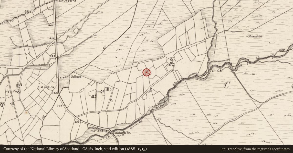 Ordnance Survey six-inch map, 2nd edition (1888–1915) covering the location of Hut site, Caherlehillan, County Kerry, with a pin at the register's coordinates