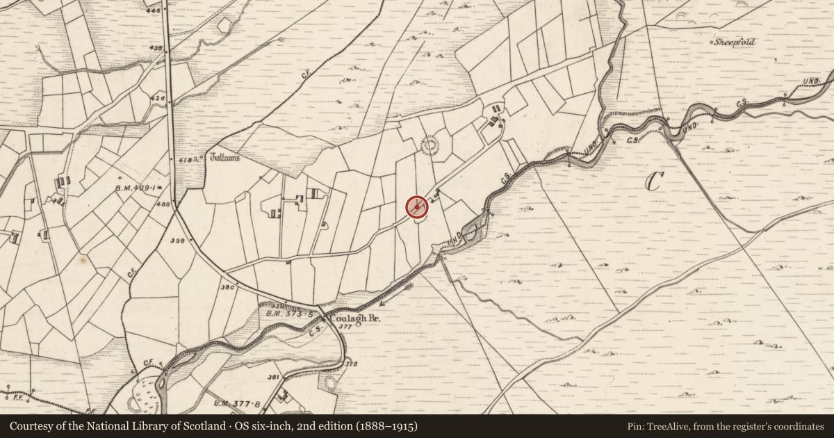 Ordnance Survey six-inch map, 2nd edition (1888–1915) covering the location of Children's burial ground, Caherlehillan, County Kerry, with a pin at the register's coordinates