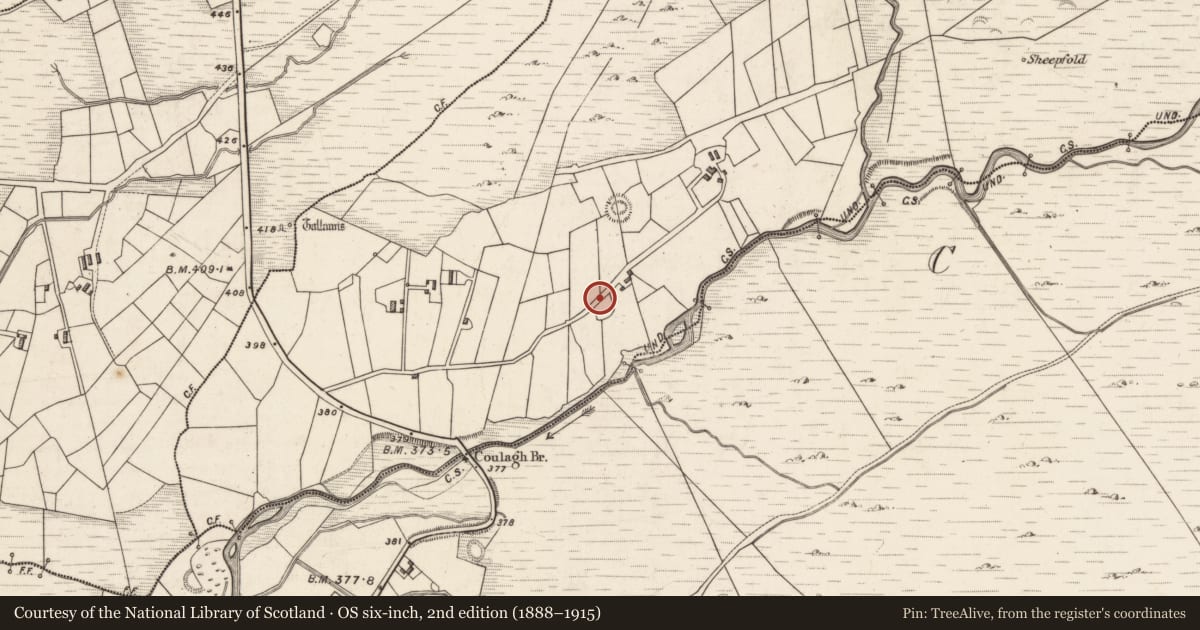 Ordnance Survey six-inch map, 2nd edition (1888–1915) covering the location of Cross-slab, Caherlehillan, County Kerry, with a pin at the register's coordinates