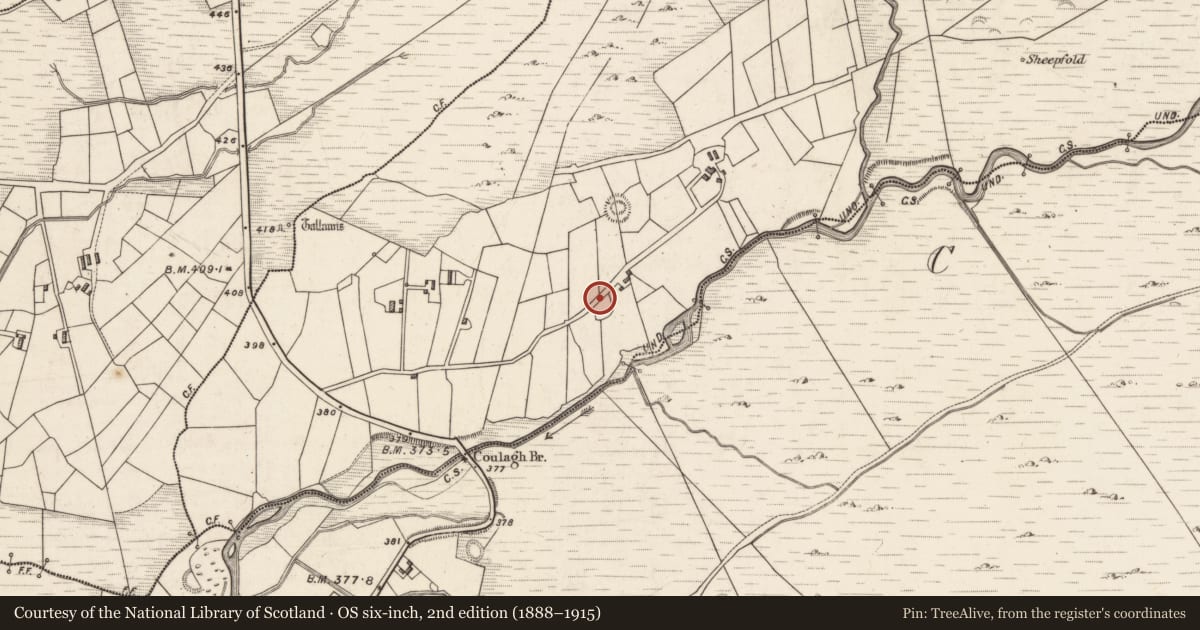 Ordnance Survey six-inch map, 2nd edition (1888–1915) covering the location of Shrine, Caherlehillan, County Kerry, with a pin at the register's coordinates