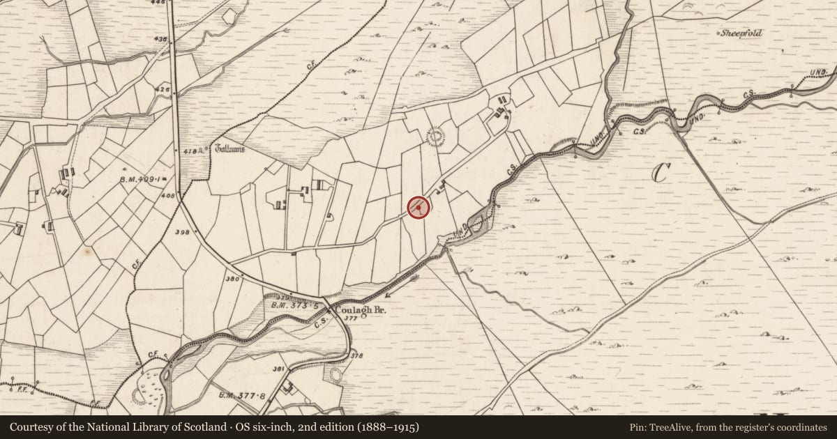 Ordnance Survey six-inch map, 2nd edition (1888–1915) covering the location of Structure, Caherlehillan, County Kerry, with a pin at the register's coordinates