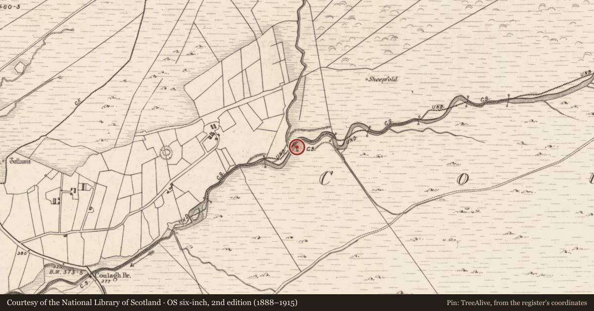 Ordnance Survey six-inch map, 2nd edition (1888–1915) covering the location of Cross-inscribed stone, Coulagh, County Kerry, with a pin at the register's coordinates