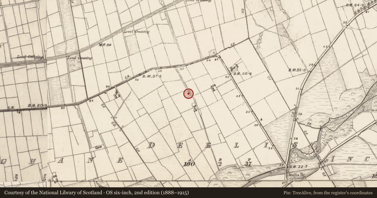 Ordnance Survey six-inch map, 2nd edition (1888–1915) covering the location of Ringfort - rath, Deelis, County Kerry, with a pin at the register's coordinates