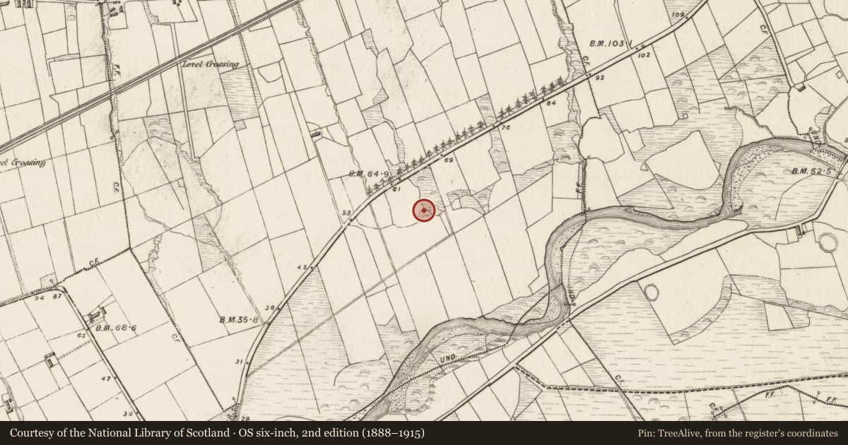Ordnance Survey six-inch map, 2nd edition (1888–1915) covering the location of Souterrain, Dooneen, County Kerry, with a pin at the register's coordinates